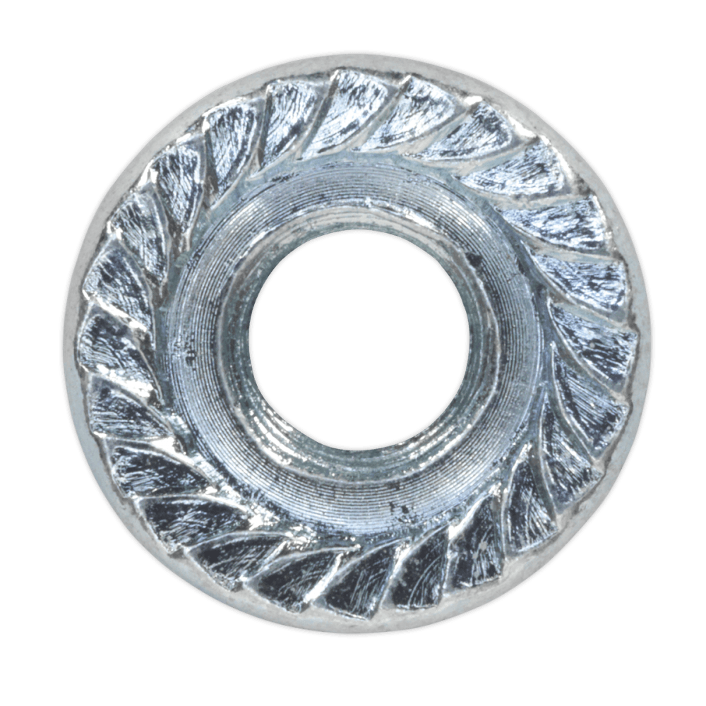 Flange Nut Serrated M6 Zinc DIN 6923 Pack of 100 : Model No.FN6