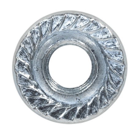 Flange Nut Serrated M6 Zinc DIN 6923 Pack of 100 : Model No.FN6