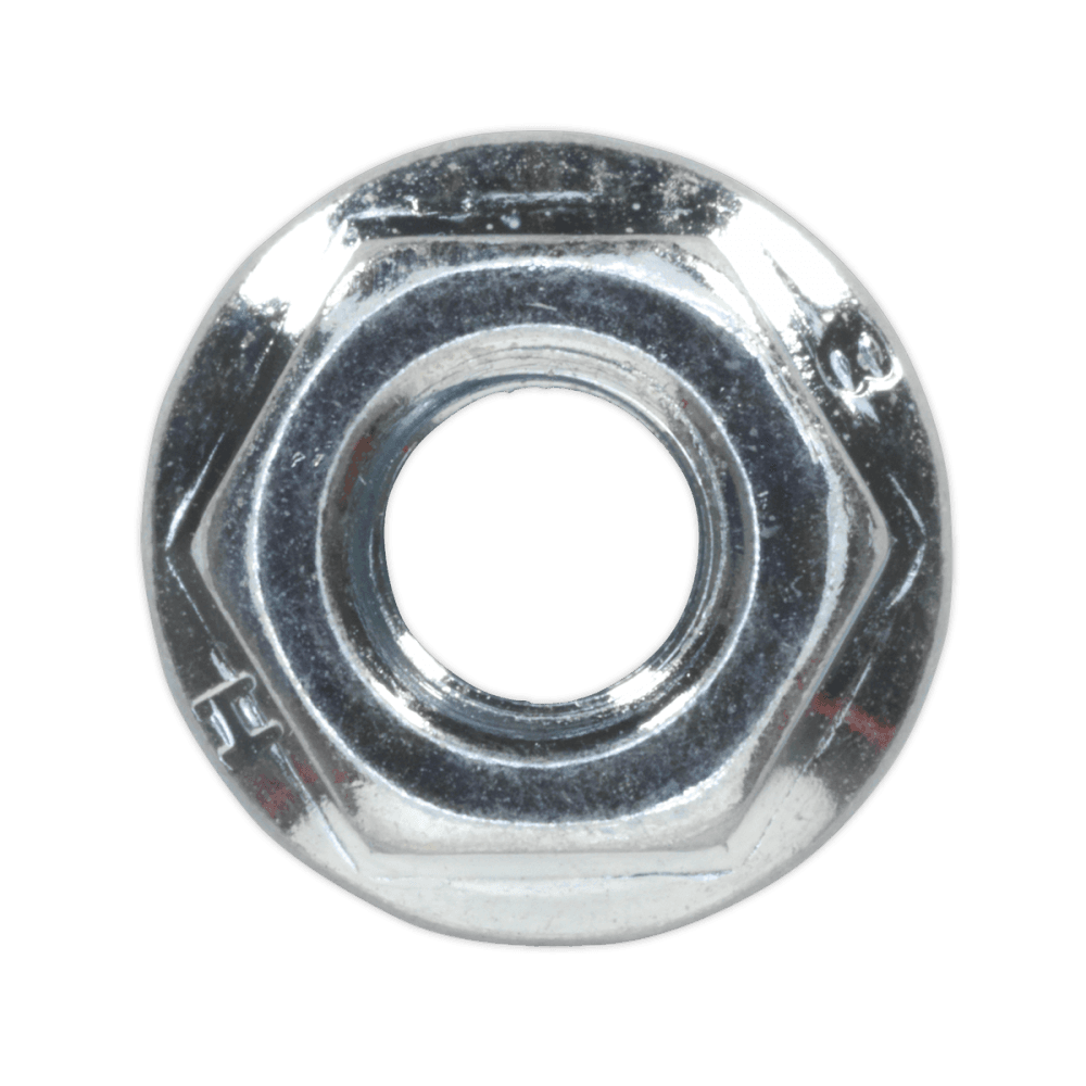 Flange Nut Serrated M6 Zinc DIN 6923 Pack of 100 : Model No.FN6