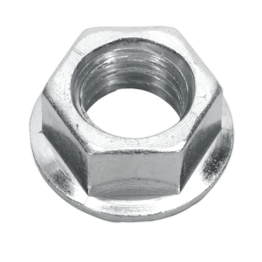 Flange Nut Serrated M10 Zinc DIN 6923 Pack of 100 : Model No.FN10