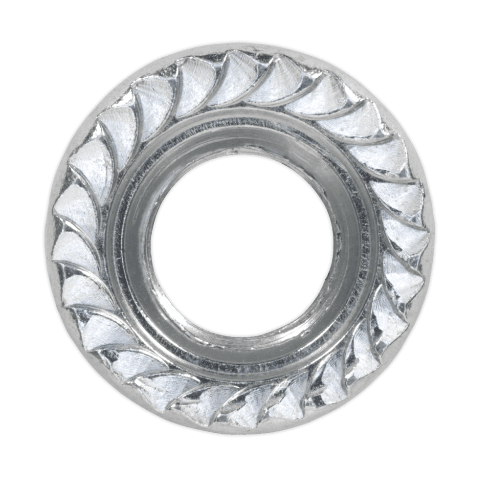 Flange Nut Serrated M10 Zinc DIN 6923 Pack of 100 : Model No.FN10