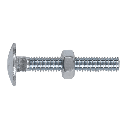 Coach Bolt & Nut M6 x 40mm Zinc DIN 603 Pack of 100 : Model No.CBN640