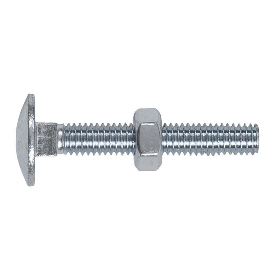 Coach Bolt & Nut M6 x 40mm Zinc DIN 603 Pack of 100 : Model No.CBN640