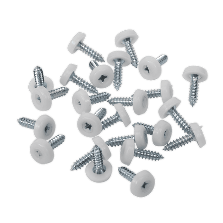Numberplate Screw with Plastic Enclosed Head 4.8 x 18mm, White - Pack of 50 : Model No.PTNP1