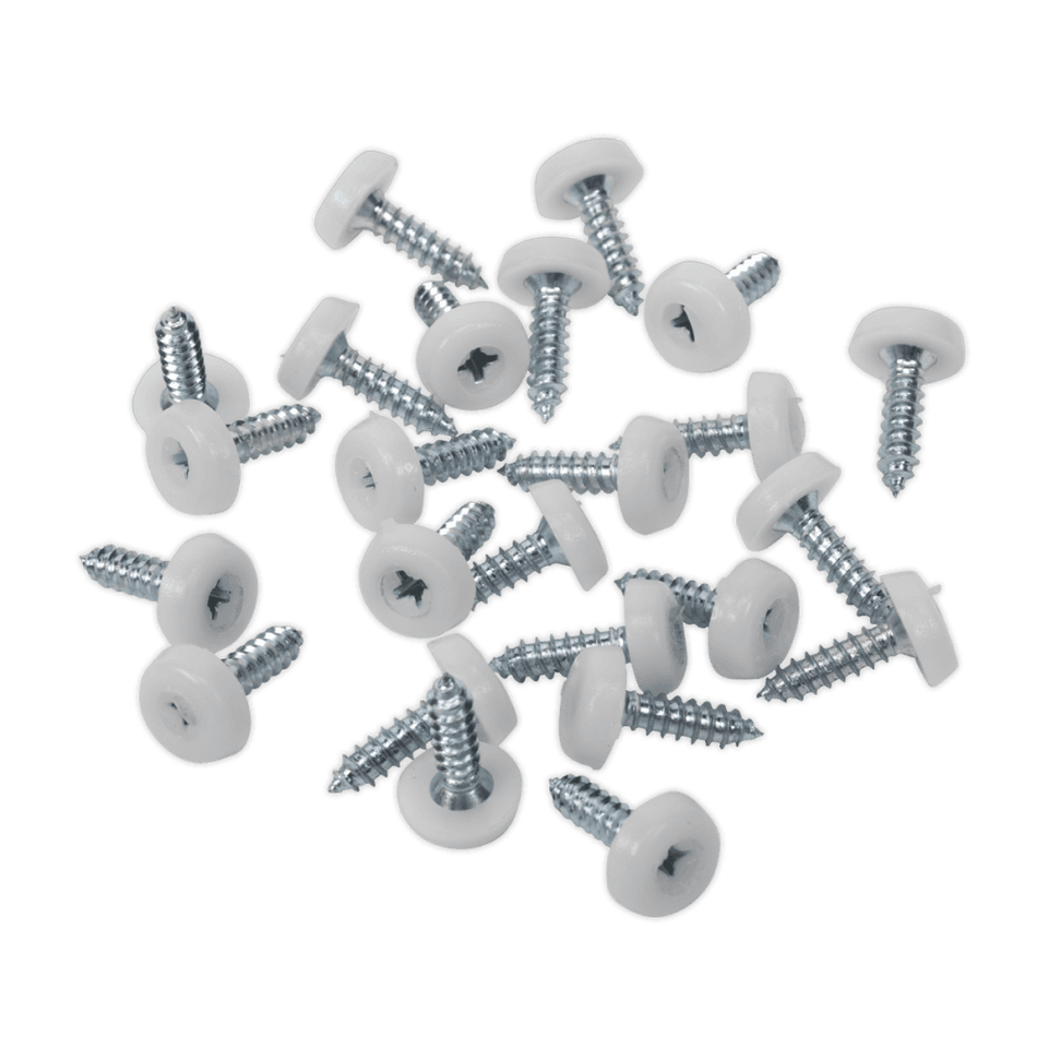 Number Plate Screw Plastic Enclosed Head Ã‡?4.8 x 18mm White Pack of 50 : Model No.PTNP1
