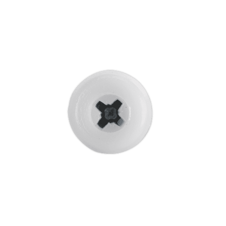 Numberplate Screw with Plastic Enclosed Head 4.8 x 18mm, White - Pack of 50 : Model No.PTNP1