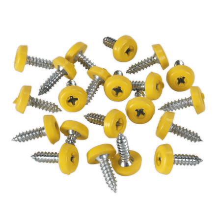 Number Plate Screw Plastic Enclosed Head Ã‡?4.8 x 18mm Yellow Pack of 50 : Model No.PTNP2