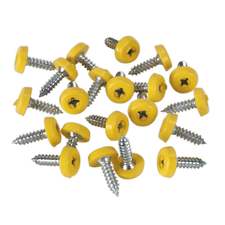 Number Plate Screw Plastic Enclosed Head Ã‡?4.8 x 18mm Yellow Pack of 50 : Model No.PTNP2