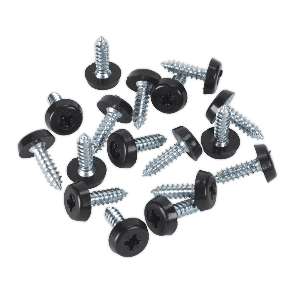 Numberplate Screw with Plastic Enclosed Head 4.8 x 18mm, Black - Pack of 50 : Model No.PTNP3
