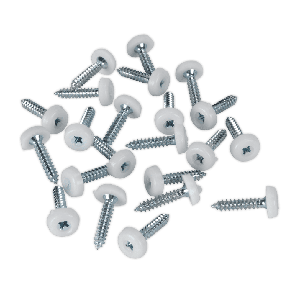 Number Plate Screw Plastic Enclosed Head Ã‡?4.8 x 24mm White Pack of 50 : Model No.PTNP5
