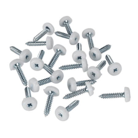 Number Plate Screw Plastic Enclosed Head Ã‡?4.8 x 24mm White Pack of 50 : Model No.PTNP5