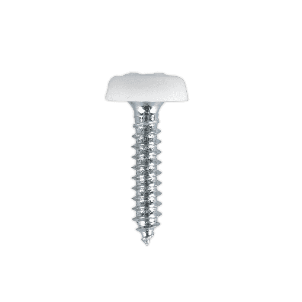 Number Plate Screw Plastic Enclosed Head Ã‡?4.8 x 24mm White Pack of 50 : Model No.PTNP5
