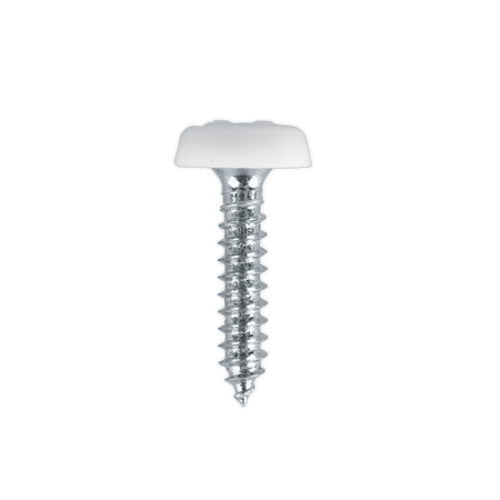 Number Plate Screw Plastic Enclosed Head Ã‡?4.8 x 24mm White Pack of 50 : Model No.PTNP5