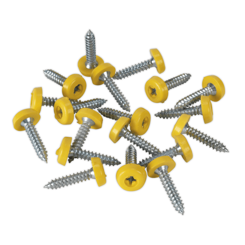 Number Plate Screw Plastic Enclosed Head Ã‡?4.8 x 24mm Yellow Pack of 50 : Model No.PTNP6
