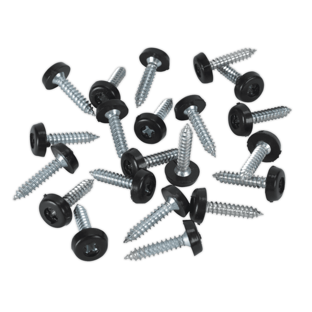 Numberplate Screw with Plastic Enclosed Head 4.8 x 24mm, Black - Pack of 50 : Model No.PTNP7