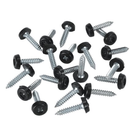 Numberplate Screw with Plastic Enclosed Head 4.8 x 24mm, Black - Pack of 50 : Model No.PTNP7