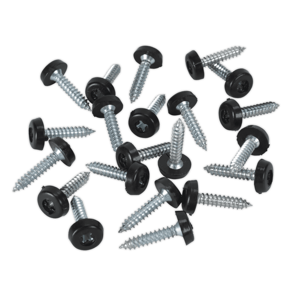 Number Plate Screw Plastic Enclosed Head Ã‡?4.8 x 24mm Black Pack of 50 : Model No.PTNP7