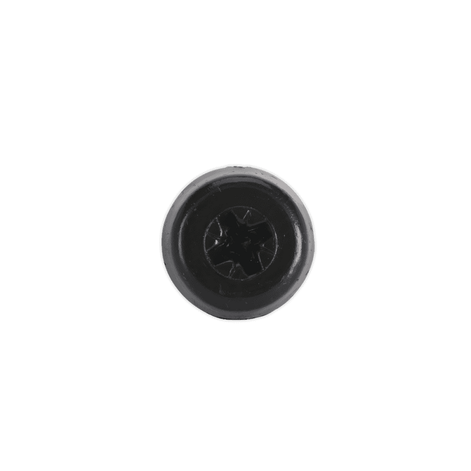 Number Plate Screw Plastic Enclosed Head Ã‡?4.8 x 24mm Black Pack of 50 : Model No.PTNP7