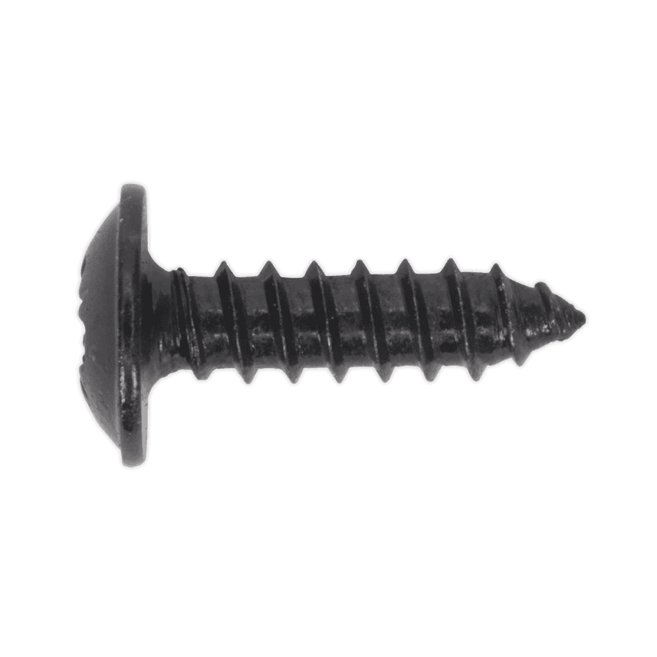 Self Tapping Screw 3.5 x 13mm Flanged Head Black Pozi BS 4174 Pack of 100 : Model No.BST3513