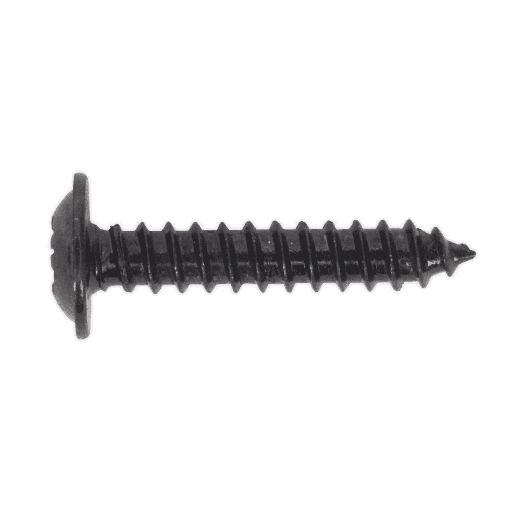 Self Tapping Screw 3.5 x 19mm Flanged Head Black Pozi BS 4174 Pack of 100 : Model No.BST3519