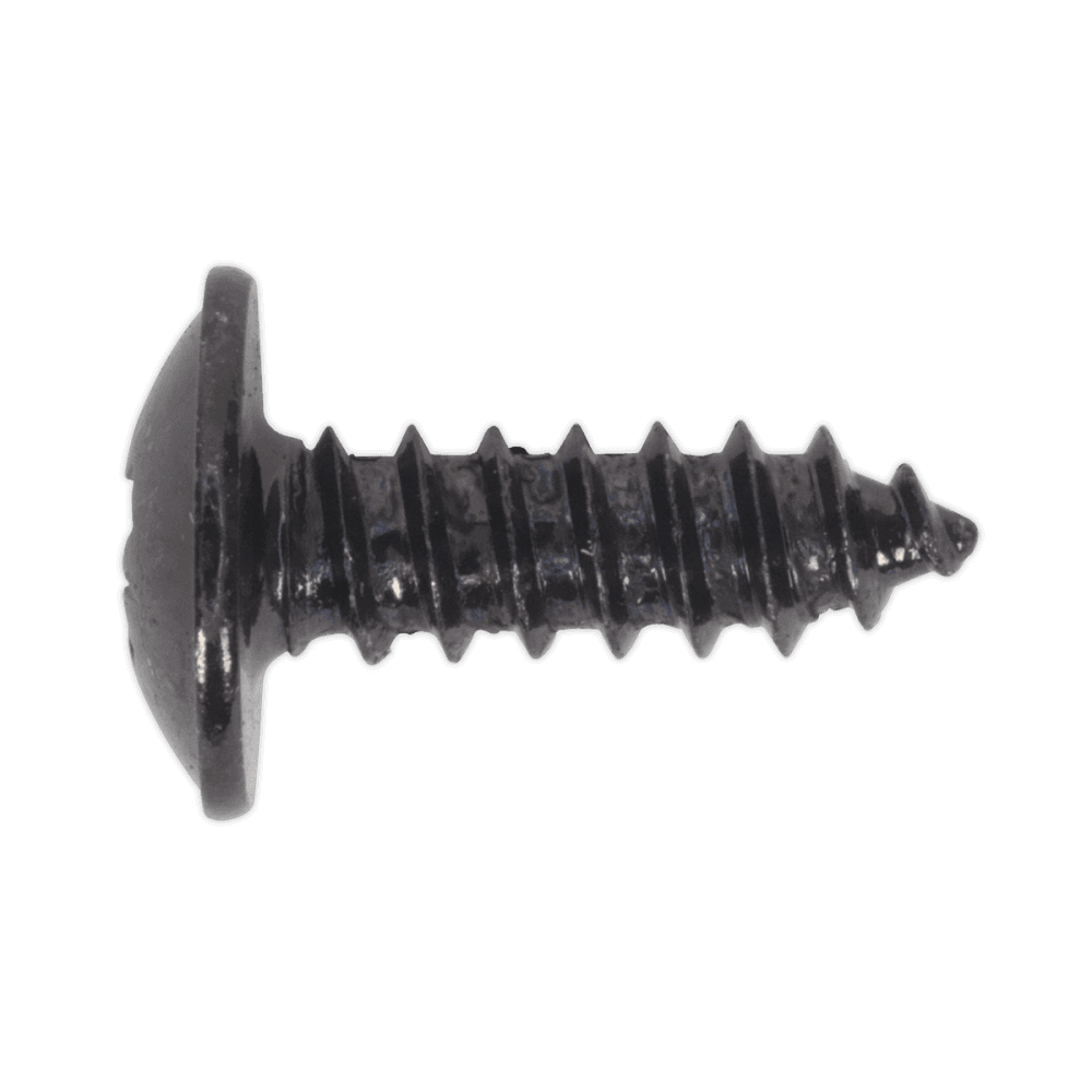 Self Tapping Screw 4.2 x 13mm Flanged Head Black Pozi BS 4174 Pack of 100 : Model No.BST4213