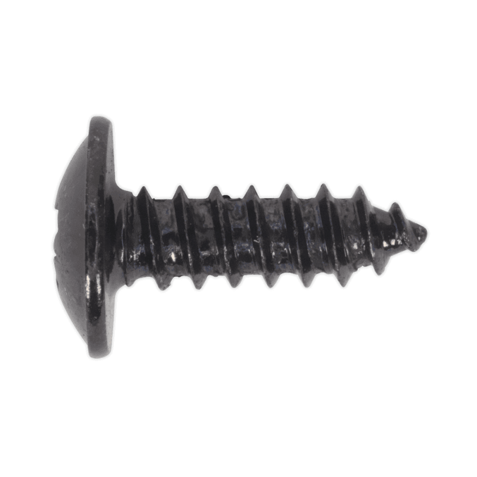 Self Tapping Screw 4.2 x 13mm Flanged Head Black Pozi BS 4174 Pack of 100 : Model No.BST4213