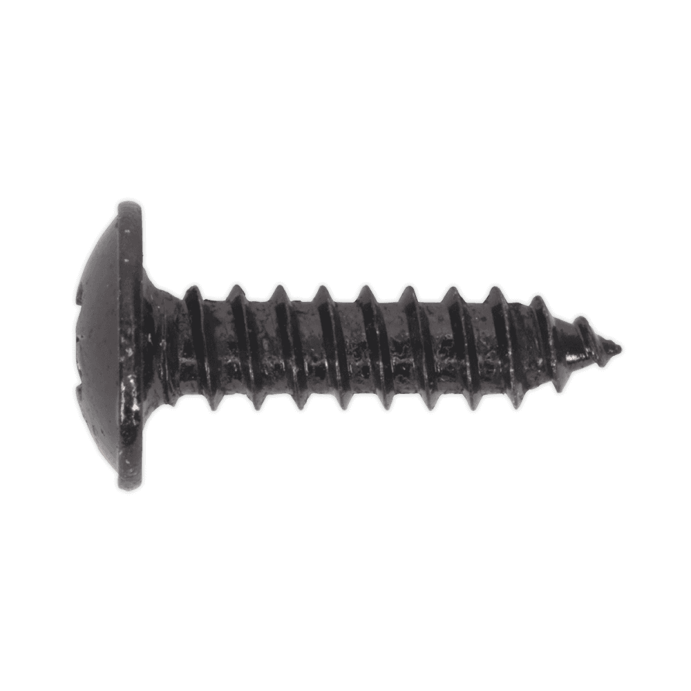 Self Tapping Screw 4.2 x 16mm Flanged Head Black Pozi BS 4174 Pack of 100 : Model No.BST4216