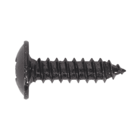 Self Tapping Screw 4.2 x 16mm Flanged Head Black Pozi BS 4174 Pack of 100 : Model No.BST4216