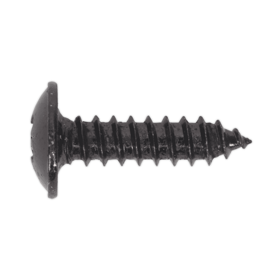 Self Tapping Screw 4.2 x 16mm Flanged Head Black Pozi BS 4174 Pack of 100 : Model No.BST4216