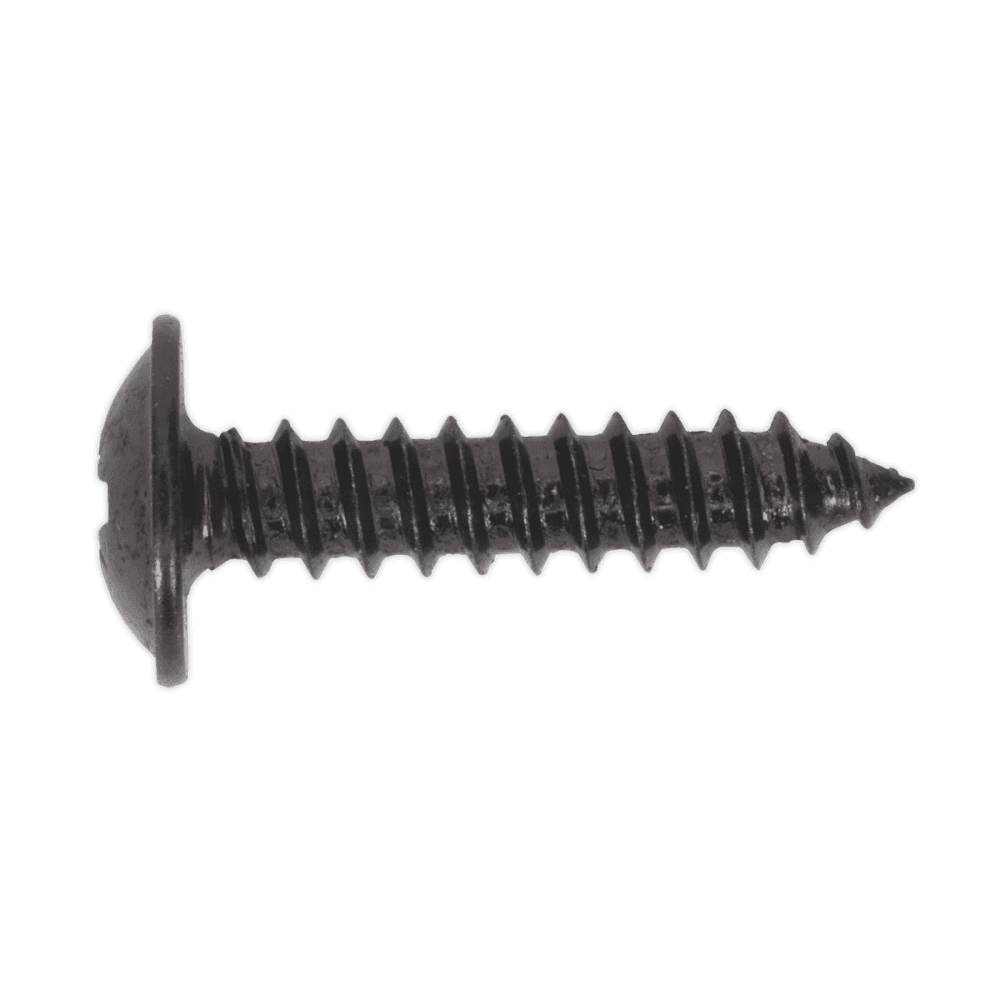 Self Tapping Screw 4.2 x 19mm Flanged Head Black Pozi BS 4174 Pack of 100 : Model No.BST4219