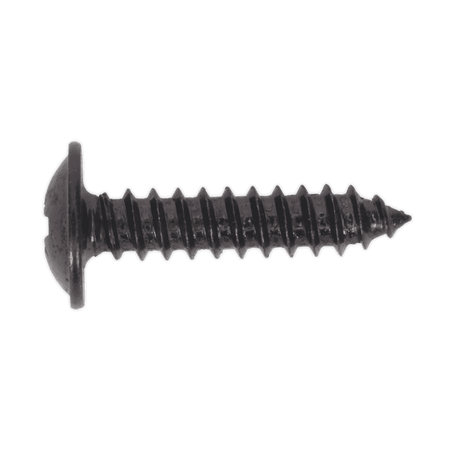 Self Tapping Screw 4.2 x 19mm Flanged Head Black Pozi BS 4174 Pack of 100 : Model No.BST4219
