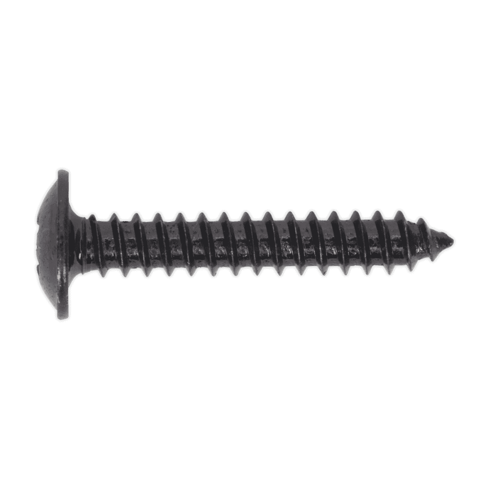 Self Tapping Screw 4.2 x 25mm Flanged Head Black Pozi BS 4174 Pack of 100 : Model No.BST4225