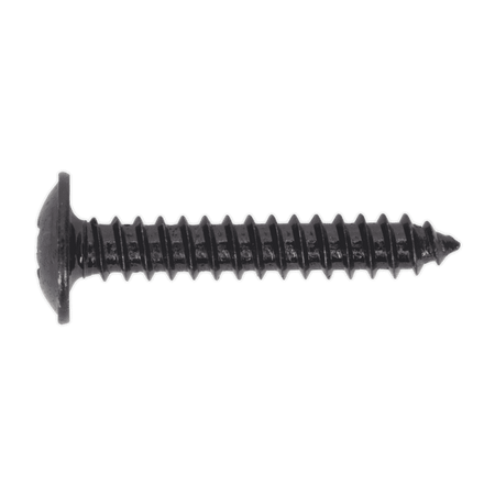 Self Tapping Screw 4.2 x 25mm Flanged Head Black Pozi BS 4174 Pack of 100 : Model No.BST4225