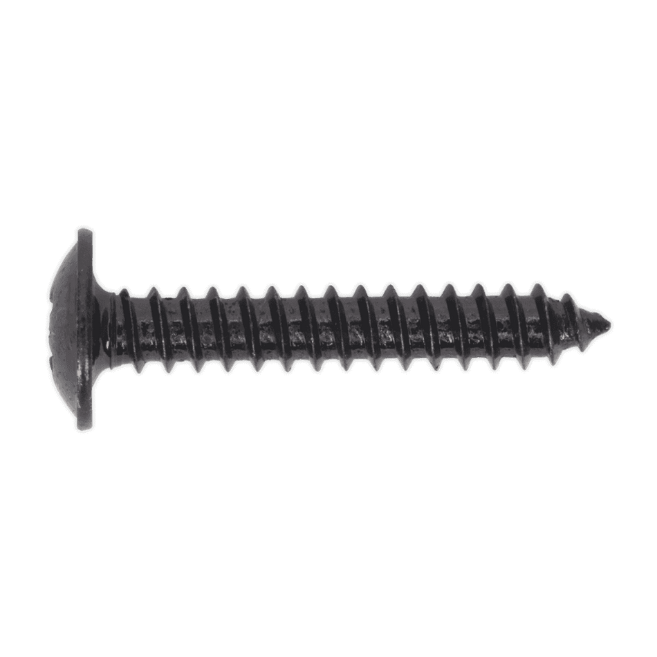 Self Tapping Screw 4.2 x 25mm Flanged Head Black Pozi BS 4174 Pack of 100 : Model No.BST4225