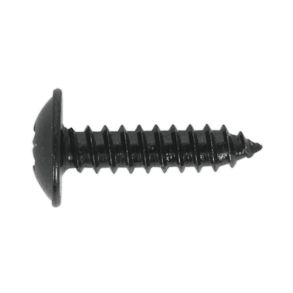 Self Tapping Screw 4.8 x 13mm Flanged Head Black Pozi BS 4174 Pack of 100 : Model No.BST4813