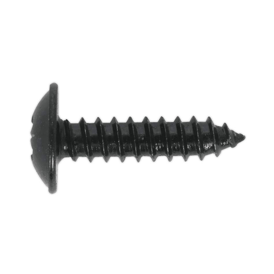 Self Tapping Screw 4.8 x 13mm Flanged Head Black Pozi BS 4174 Pack of 100 : Model No.BST4813