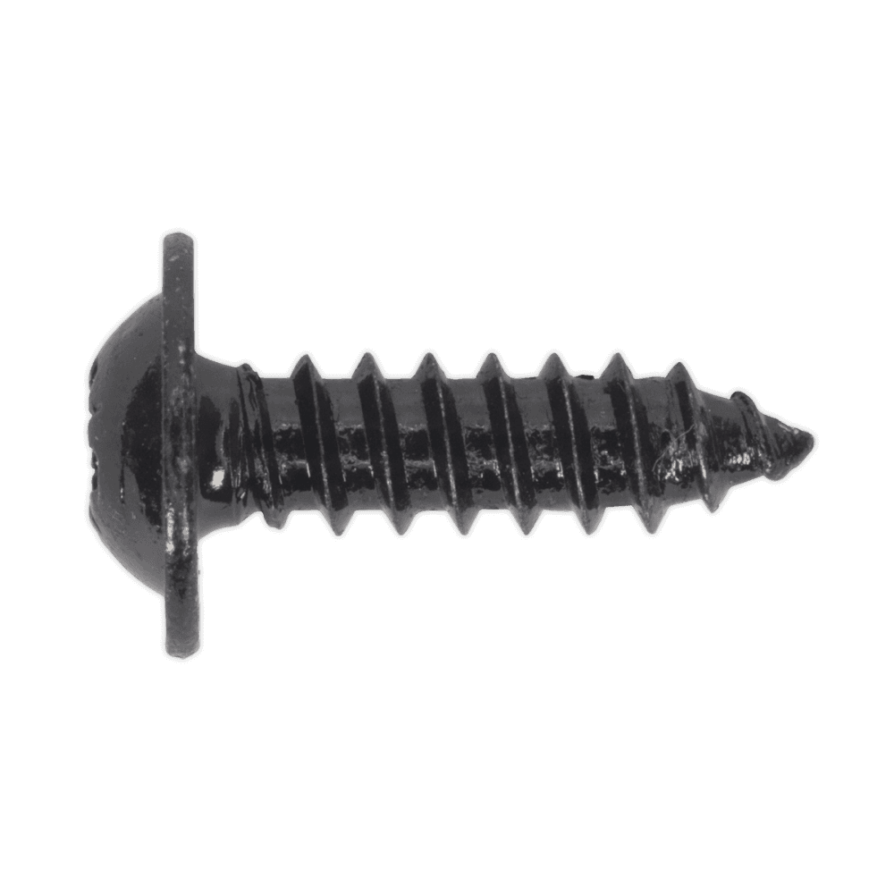 Self Tapping Screw 4.8 x 16mm Flanged Head Black Pozi BS 4174 Pack of 100 : Model No.BST4816