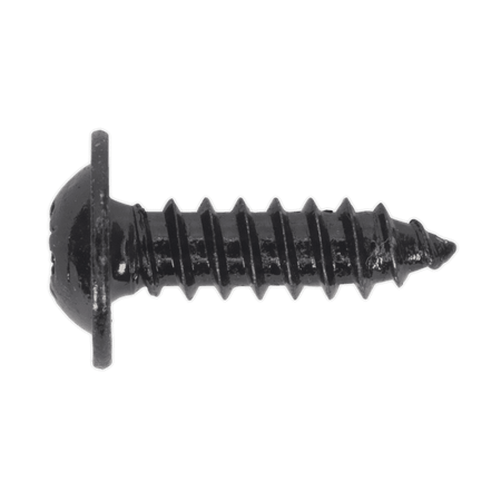 Self Tapping Screw 4.8 x 16mm Flanged Head Black Pozi BS 4174 Pack of 100 : Model No.BST4816