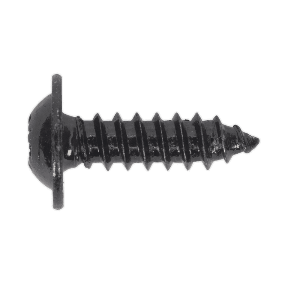 Self Tapping Screw 4.8 x 16mm Flanged Head Black Pozi BS 4174 Pack of 100 : Model No.BST4816