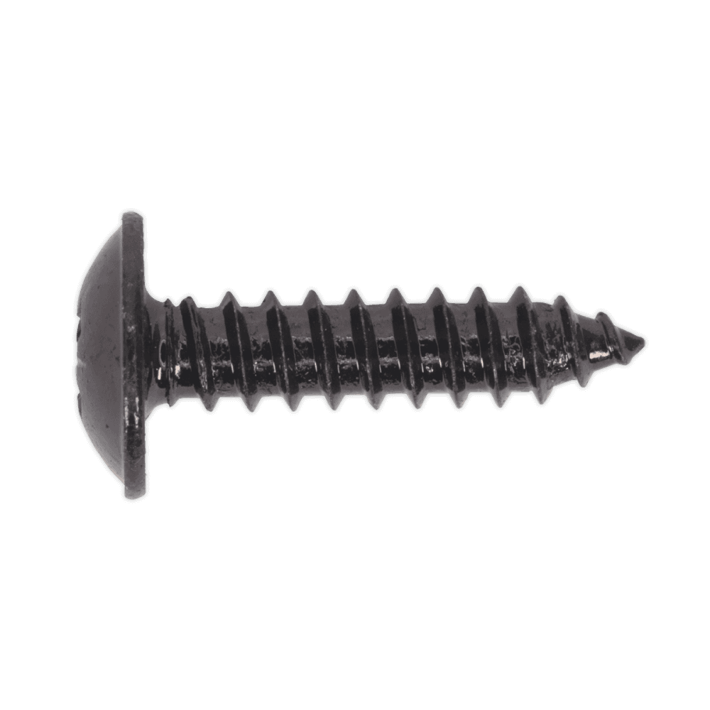 Self Tapping Screw 4.8 x 19mm Flanged Head Black Pozi BS 4174 Pack of 100 : Model No.BST4819