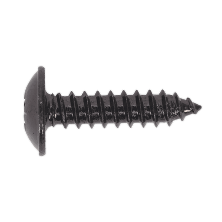 Self Tapping Screw 4.8 x 19mm Flanged Head Black Pozi BS 4174 Pack of 100 : Model No.BST4819