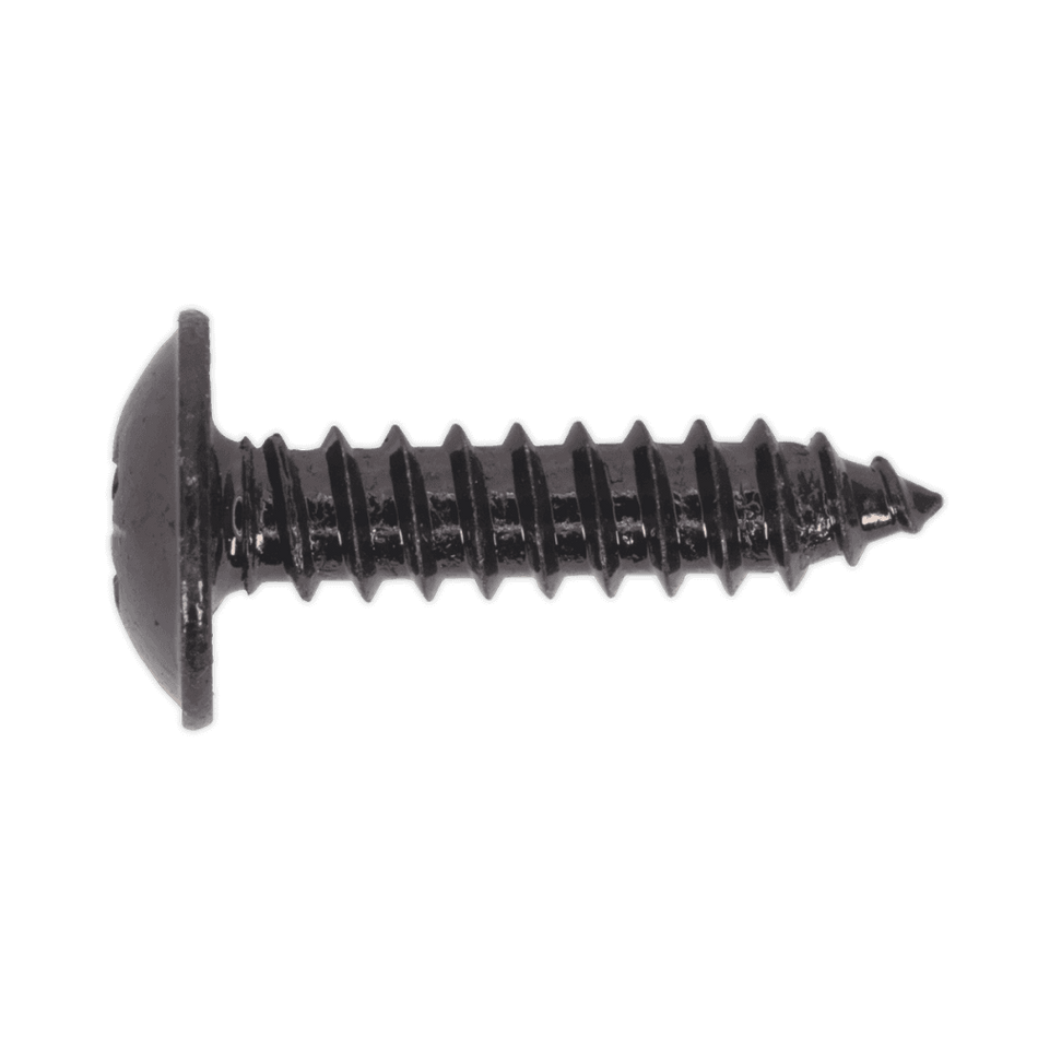 Self Tapping Screw 4.8 x 19mm Flanged Head Black Pozi BS 4174 Pack of 100 : Model No.BST4819