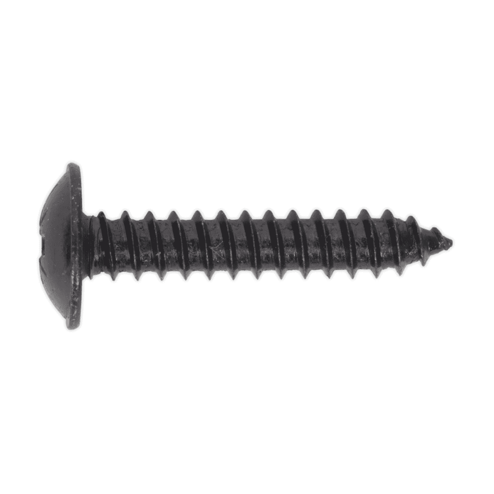 Self Tapping Screw 4.8 x 25mm Flanged Head Black Pozi BS 4174 Pack of 100 : Model No.BST4825