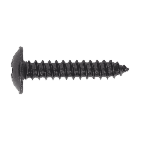 Self Tapping Screw 4.8 x 25mm Flanged Head Black Pozi BS 4174 Pack of 100 : Model No.BST4825