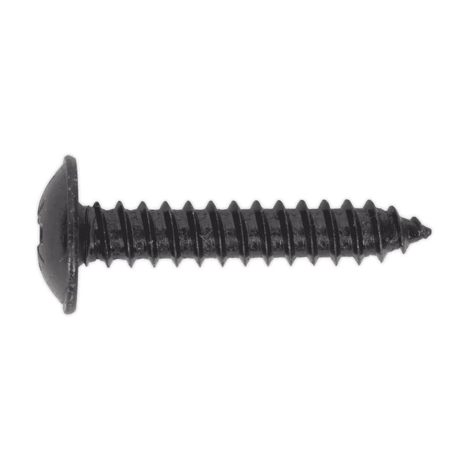 Self Tapping Screw 4.8 x 25mm Flanged Head Black Pozi BS 4174 Pack of 100 : Model No.BST4825