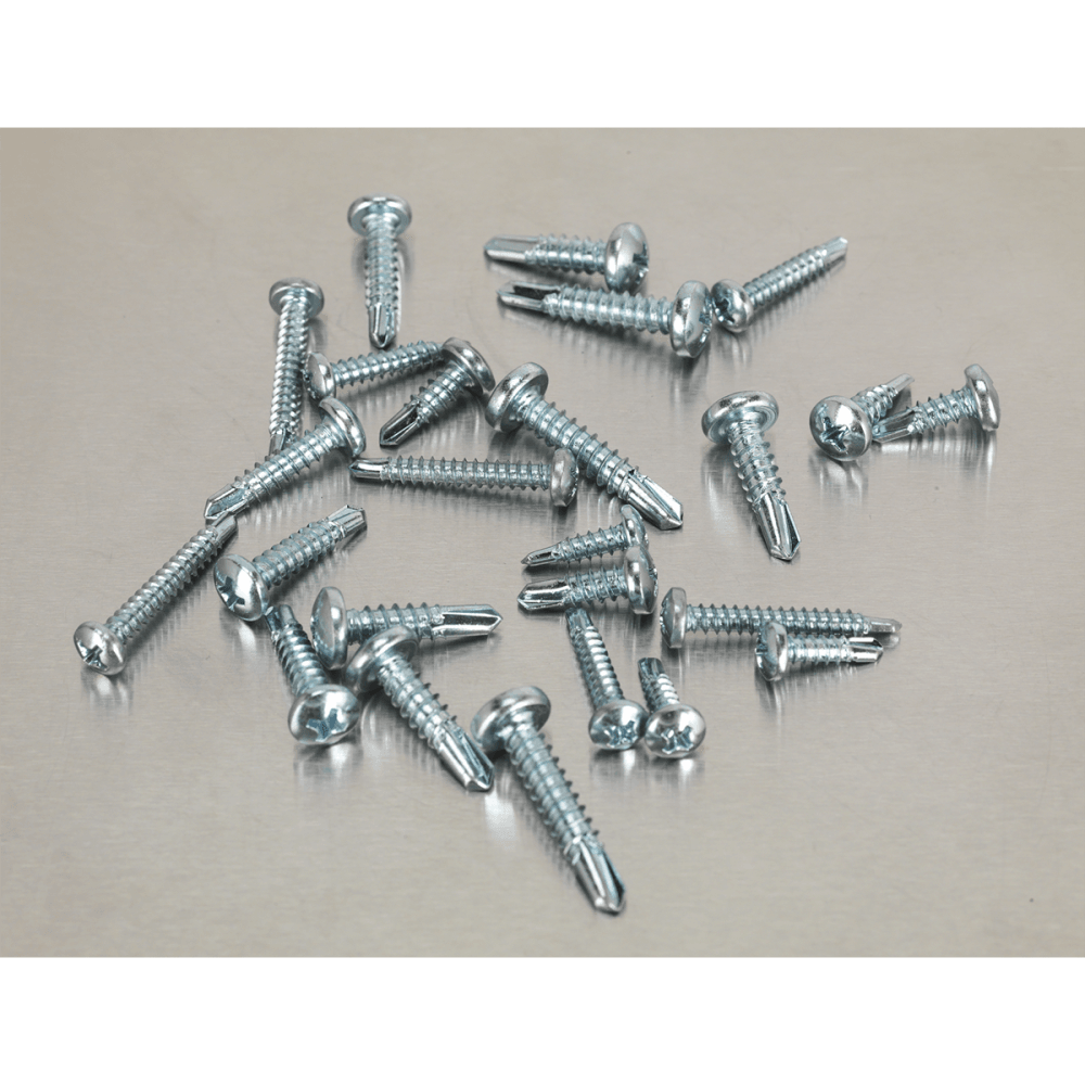 Self Drilling Screw Assortment 500pc Pan Head Phillips Zinc D7504N : Model No.AB060SDS