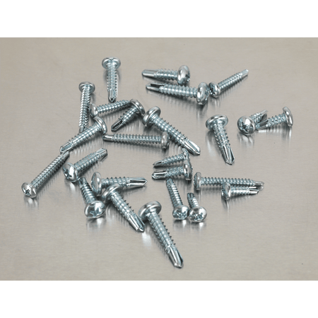 Self Drilling Screw Assortment 500pc Pan Head Phillips Zinc D7504N : Model No.AB060SDS