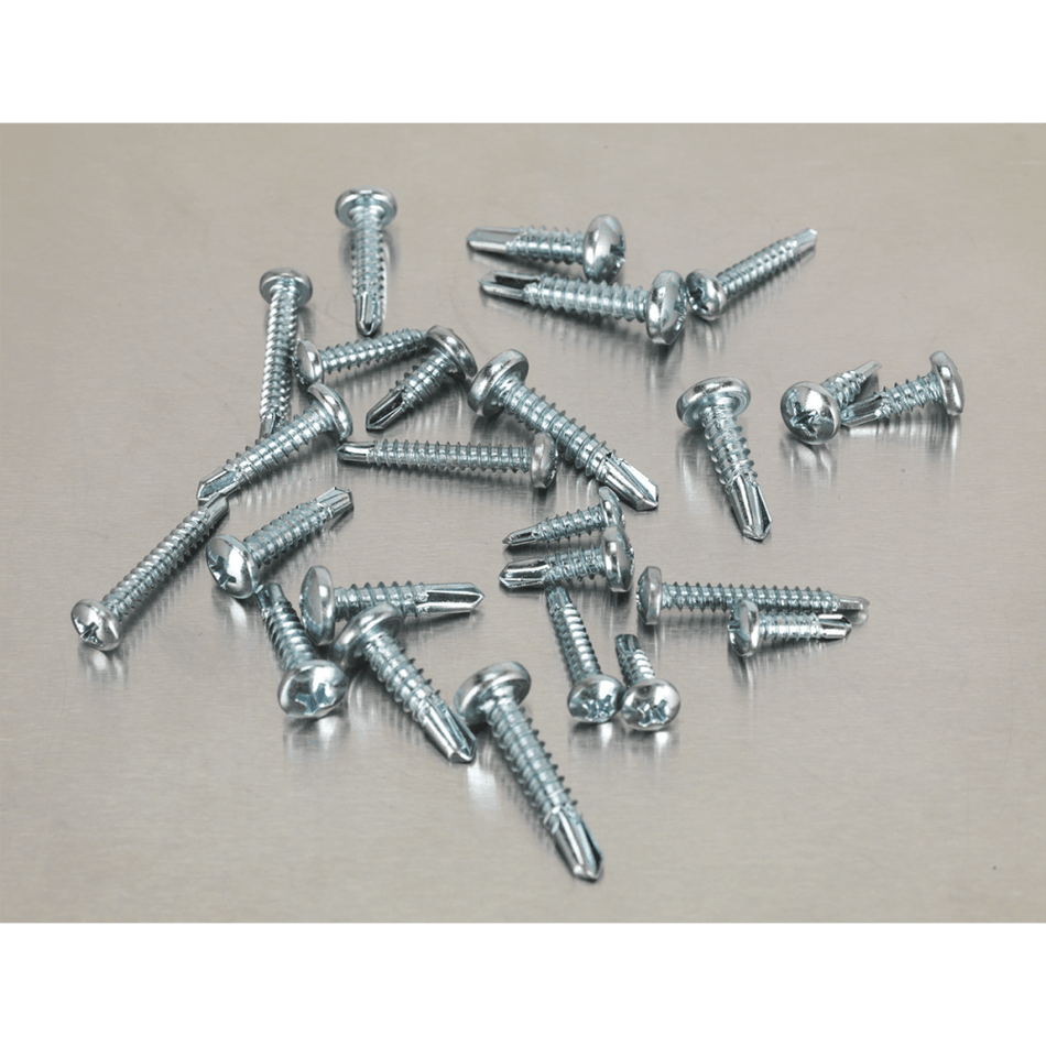 Self Drilling Screw Assortment 500pc Pan Head Phillips Zinc D7504N : Model No.AB060SDS