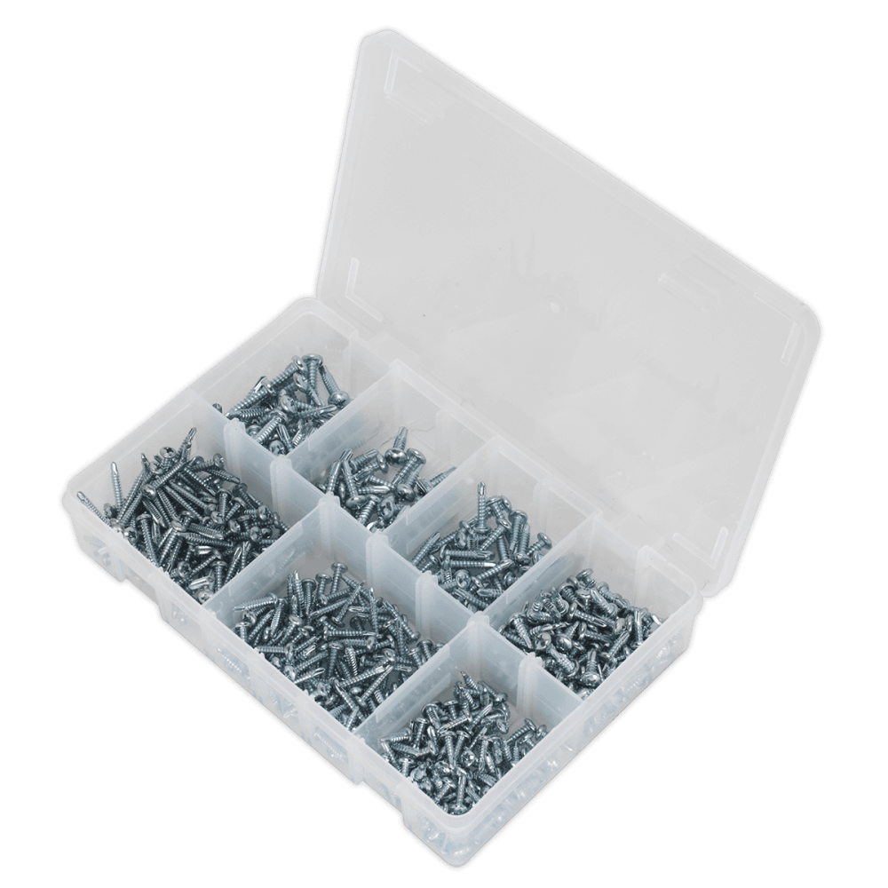 Self Drilling Screw Assortment 500pc Pan Head Phillips Zinc D7504N : Model No.AB060SDS