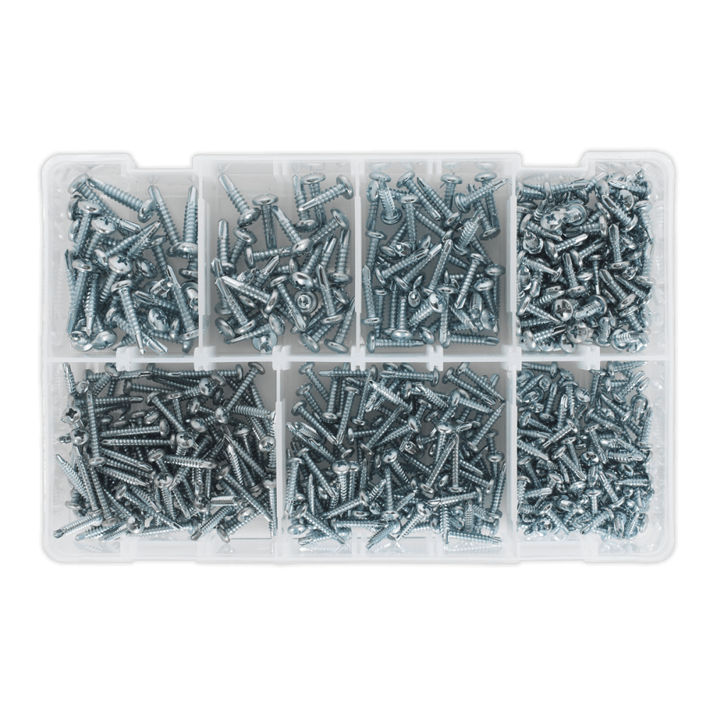 Self Drilling Screw Assortment 500pc Pan Head Phillips Zinc D7504N : Model No.AB060SDS